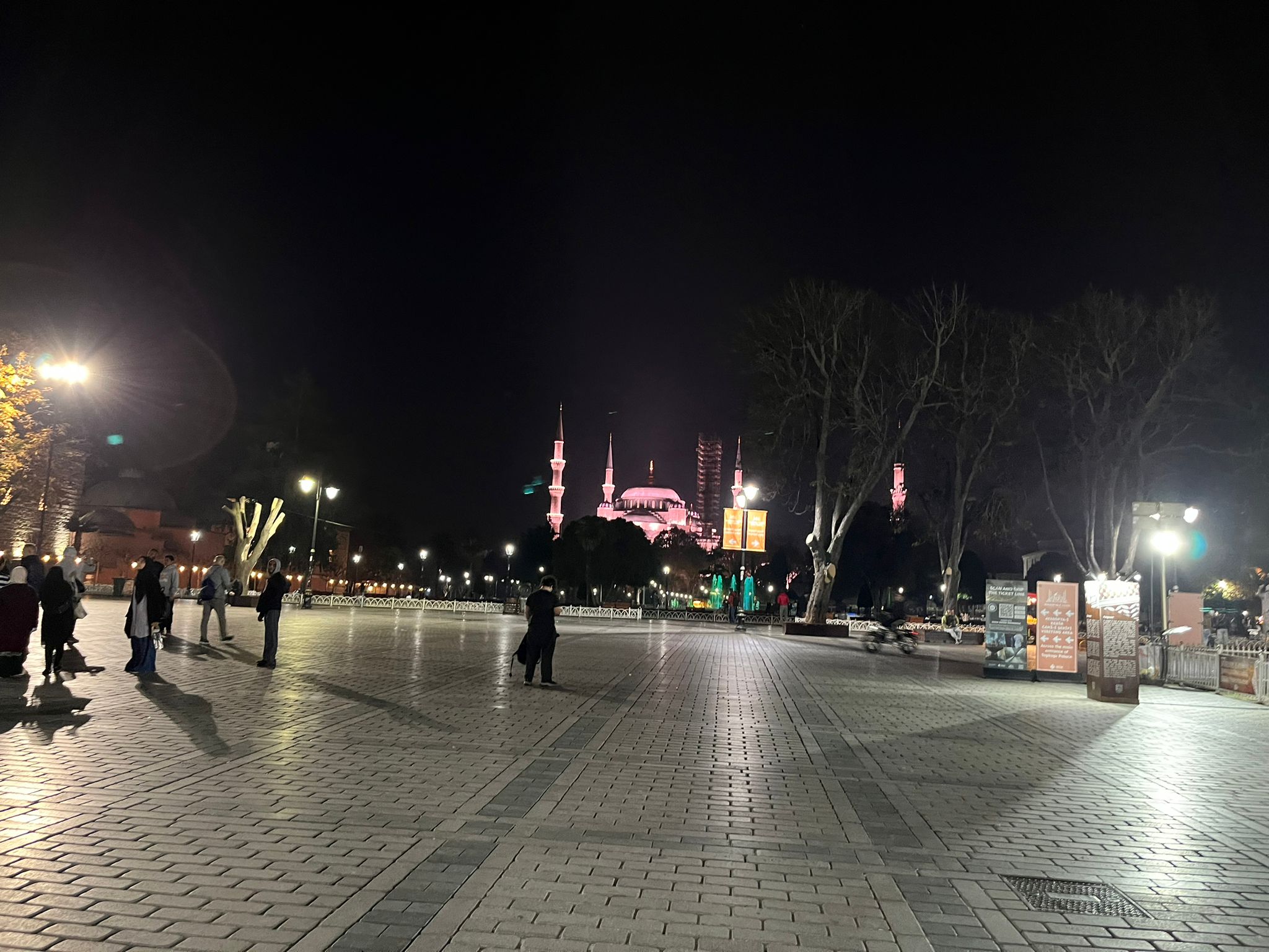 WhatsApp Image 2024-11-20 at 9.19.04 PM