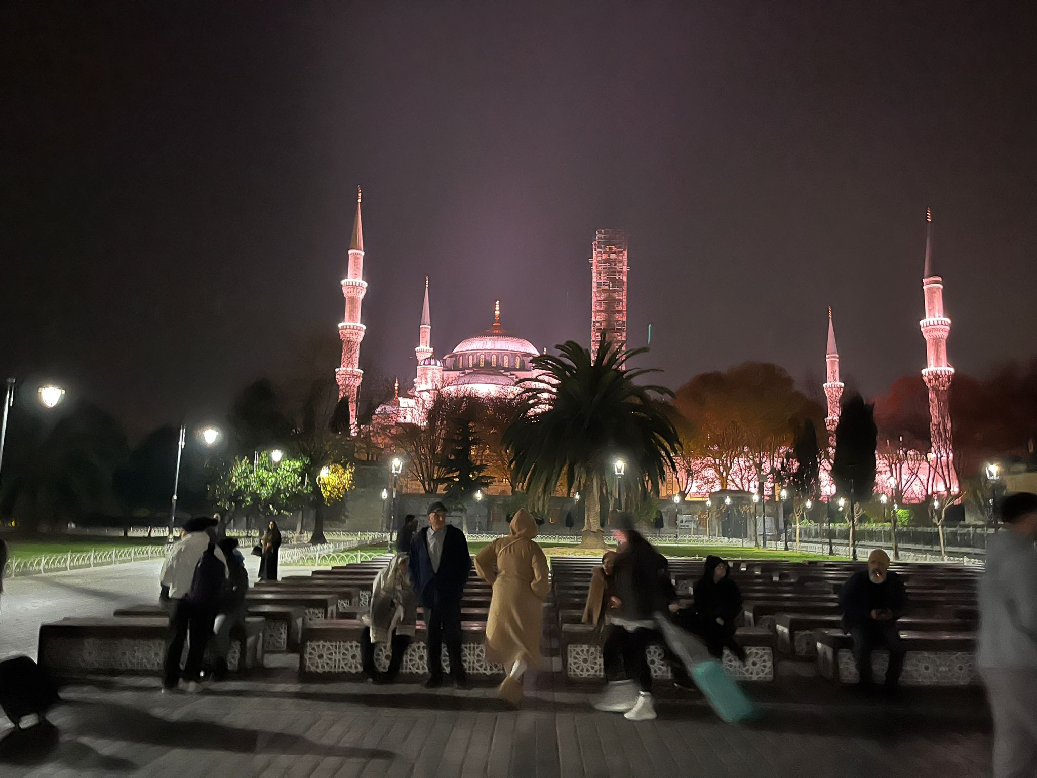 WhatsApp Image 2024-11-20 at 9.19.06 PM (1)